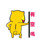 Shiba bear's life chapter（個別スタンプ：16）