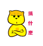 Shiba bear's life chapter（個別スタンプ：27）