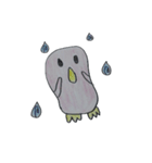 cute penguin named shibatsu（個別スタンプ：8）