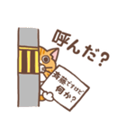 斉藤さんのスタンプ（個別スタンプ：37）
