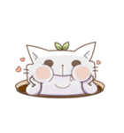 Bean cat 2（個別スタンプ：7）