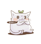 Bean cat 2（個別スタンプ：24）