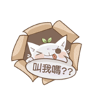 Bean cat 2（個別スタンプ：30）