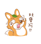 Brother Fox（個別スタンプ：9）