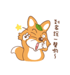 Brother Fox（個別スタンプ：19）