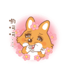 Brother Fox（個別スタンプ：31）