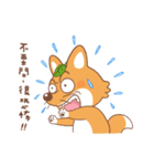 Brother Fox（個別スタンプ：34）