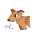 Mr.Owl ＆ Miss.Muntjac（個別スタンプ：25）
