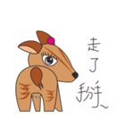 Mr.Owl ＆ Miss.Muntjac（個別スタンプ：30）