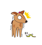 Mr.Owl ＆ Miss.Muntjac（個別スタンプ：37）