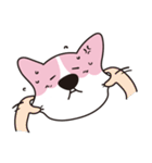 ピンクコーギー（個別スタンプ：14）