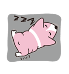 ピンクコーギー（個別スタンプ：22）