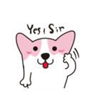 ピンクコーギー（個別スタンプ：23）