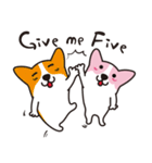 ピンクコーギー（個別スタンプ：34）
