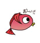 赤いお魚さん（個別スタンプ：11）