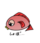 赤いお魚さん（個別スタンプ：15）