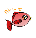 赤いお魚さん（個別スタンプ：21）