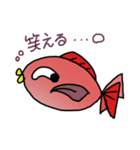 赤いお魚さん（個別スタンプ：33）