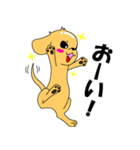 つるりん犬 一休さん（個別スタンプ：1）
