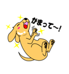 つるりん犬 一休さん（個別スタンプ：3）