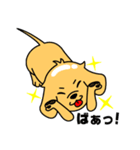 つるりん犬 一休さん（個別スタンプ：8）