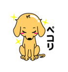 つるりん犬 一休さん（個別スタンプ：14）
