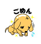 つるりん犬 一休さん（個別スタンプ：16）