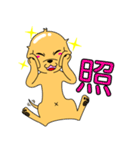 つるりん犬 一休さん（個別スタンプ：19）