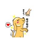 つるりん犬 一休さん（個別スタンプ：23）