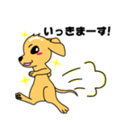 つるりん犬 一休さん（個別スタンプ：25）