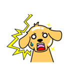 つるりん犬 一休さん（個別スタンプ：29）