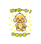つるりん犬 一休さん（個別スタンプ：36）
