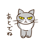 気ままな猫さん（個別スタンプ：20）