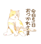 ほっこり三毛猫さん（個別スタンプ：2）