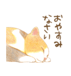 ほっこり三毛猫さん（個別スタンプ：3）