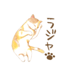 ほっこり三毛猫さん（個別スタンプ：5）