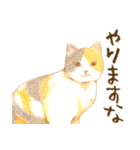 ほっこり三毛猫さん（個別スタンプ：10）