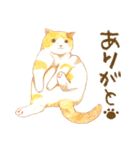 ほっこり三毛猫さん（個別スタンプ：11）