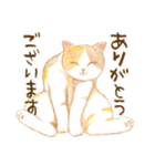 ほっこり三毛猫さん（個別スタンプ：12）