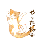 ほっこり三毛猫さん（個別スタンプ：19）