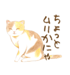 ほっこり三毛猫さん（個別スタンプ：24）