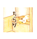 ほっこり三毛猫さん（個別スタンプ：30）