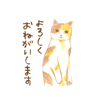 ほっこり三毛猫さん（個別スタンプ：33）