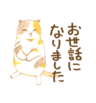 ほっこり三毛猫さん（個別スタンプ：34）