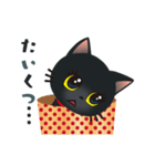 黒猫クルミン（個別スタンプ：16）