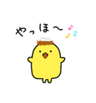 ぴよこぐみ（個別スタンプ：3）