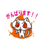 敬語のネコさん（個別スタンプ：11）