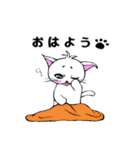 まろまゆ猫様 日常会話編（個別スタンプ：2）