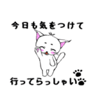 まろまゆ猫様 日常会話編（個別スタンプ：3）
