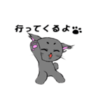 まろまゆ猫様 日常会話編（個別スタンプ：4）